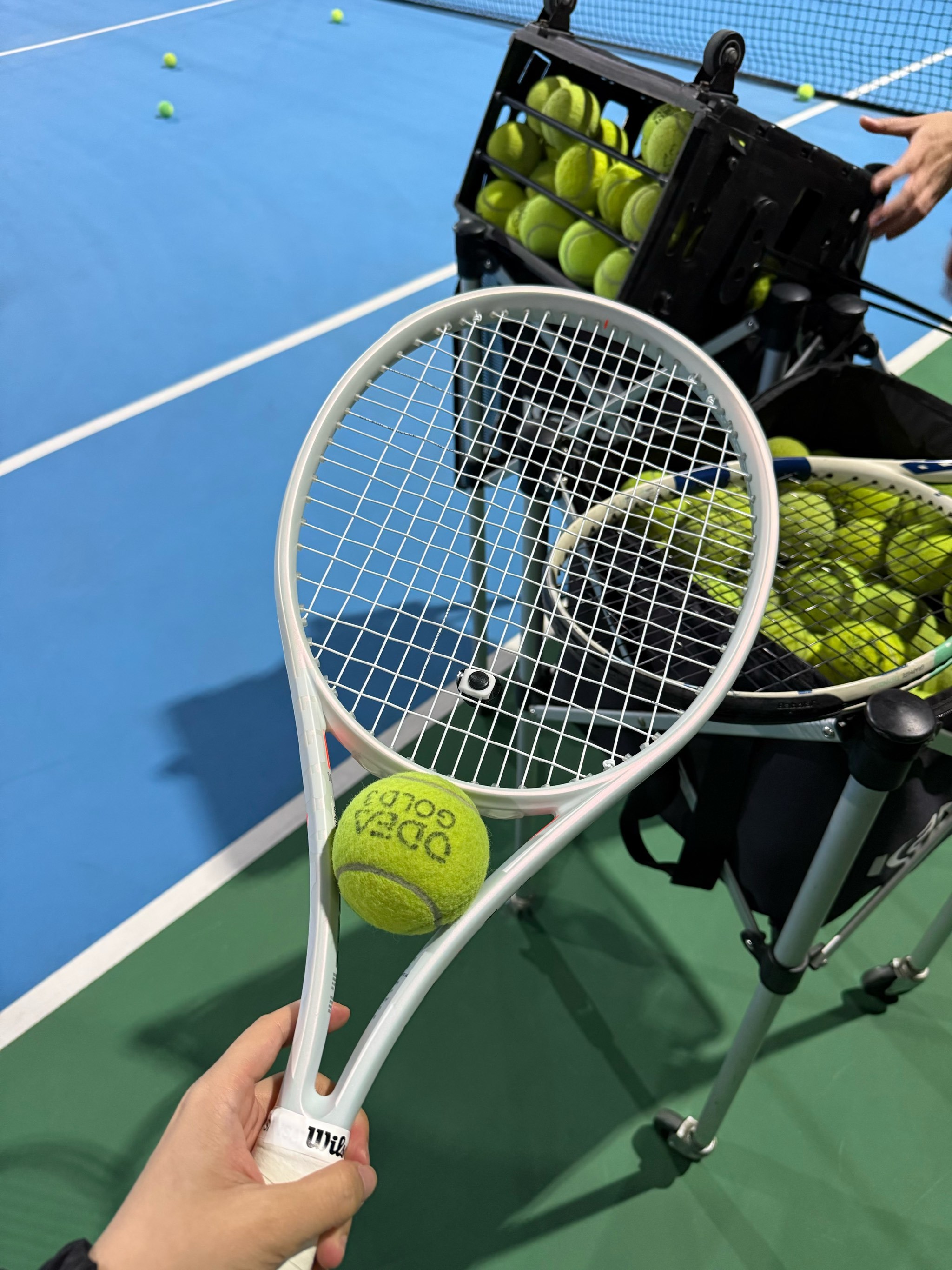 立了关键优 立了关键优