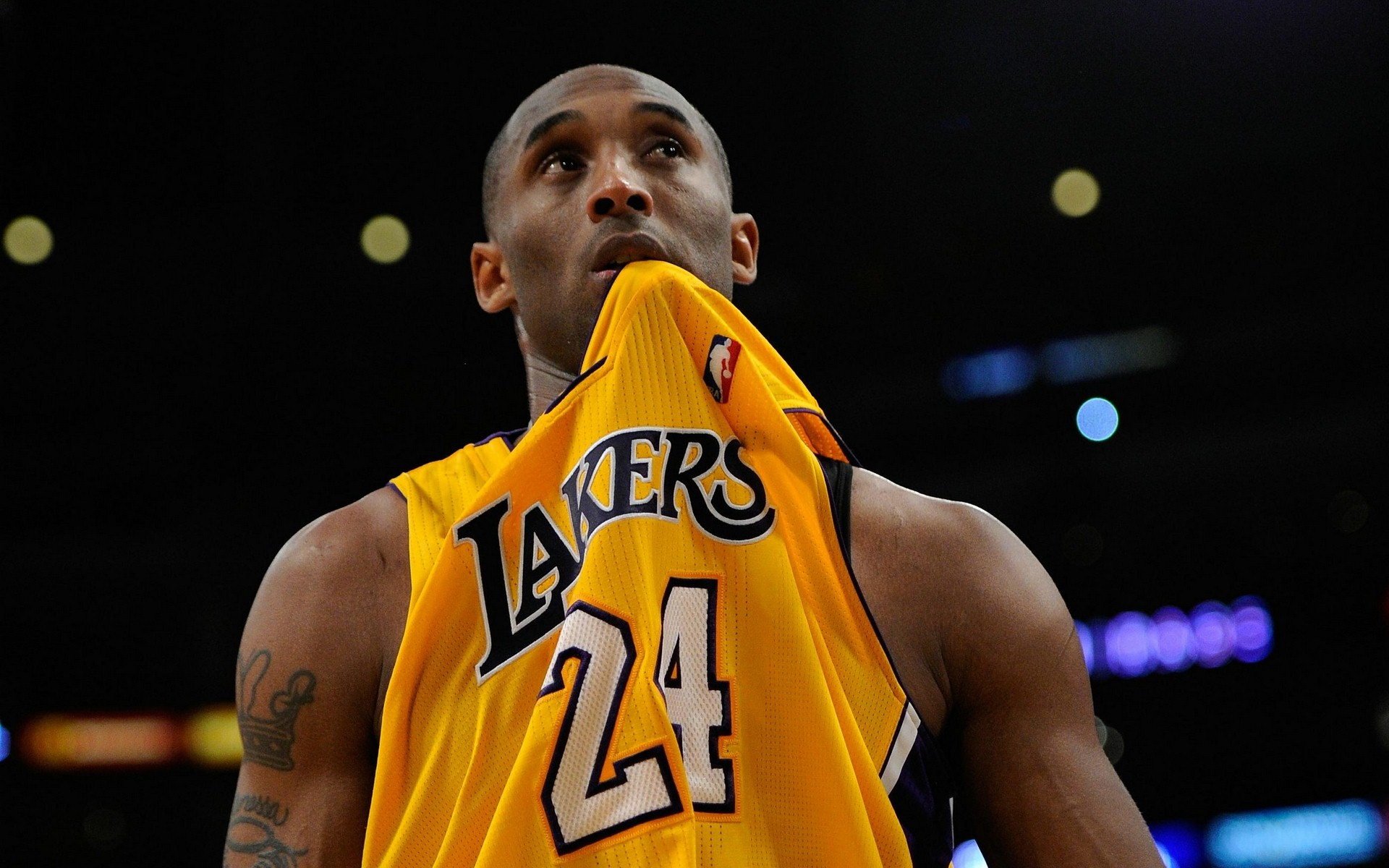 为这篇文章 为这篇文章